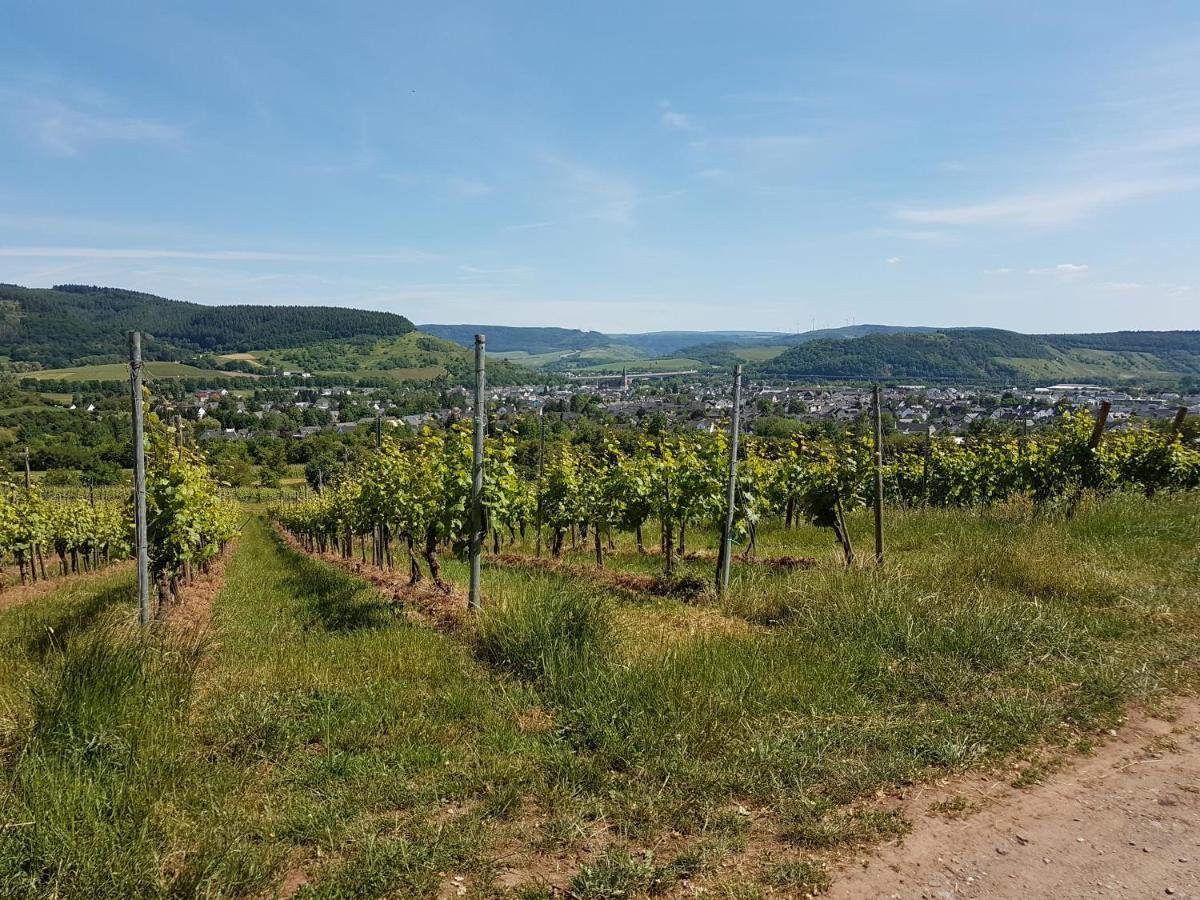 Apartmán Familie Jonas Schweich Exteriér fotografie