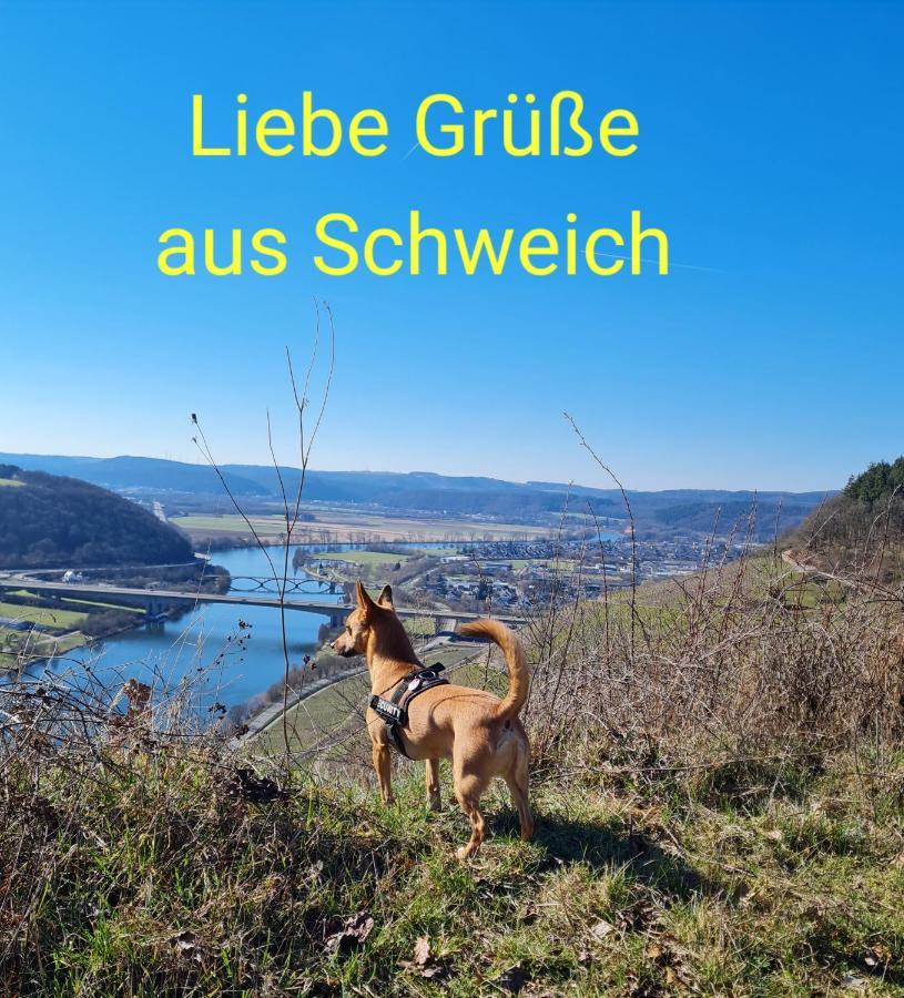 Apartmán Familie Jonas Schweich Exteriér fotografie